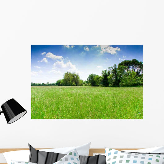 Prairie Wall Decal Design 1