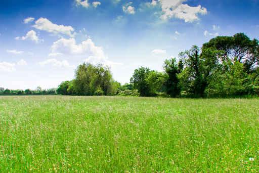 Prairie Wall Decal Design 1