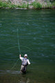 Fly Fishing Wall Decal