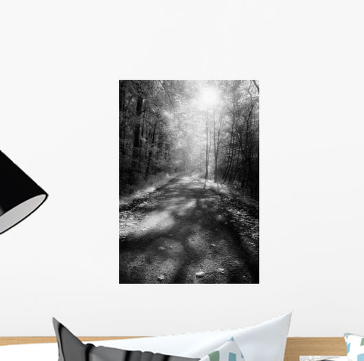Forest Road Wall Decal Design 2