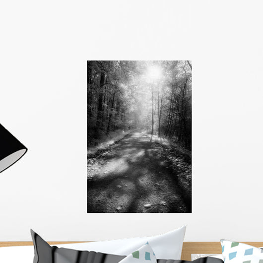 Forest Road Wall Decal Design 2