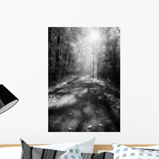 Forest Road Wall Decal Design 2