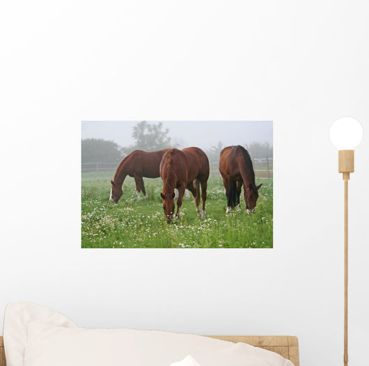 Nebel Wiese Wall Decal