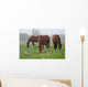 Nebel Wiese Wall Decal