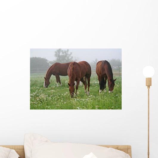 Nebel Wiese Wall Decal