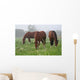 Nebel Wiese Wall Decal