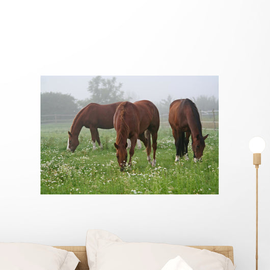 Nebel Wiese Wall Decal