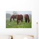 Nebel Wiese Wall Decal
