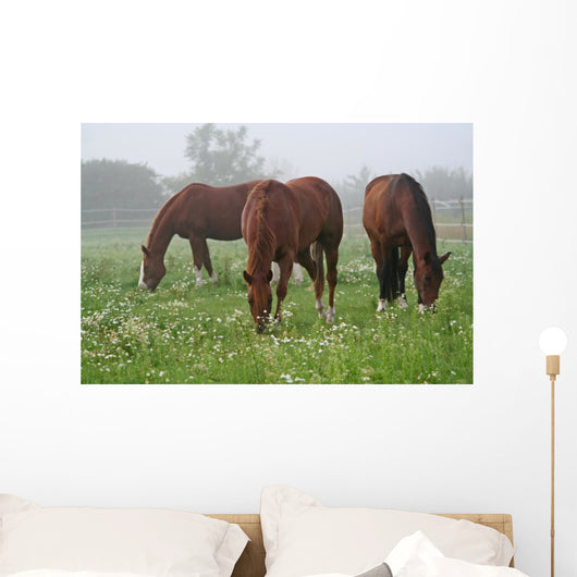 Nebel Wiese Wall Decal