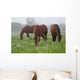 Nebel Wiese Wall Decal