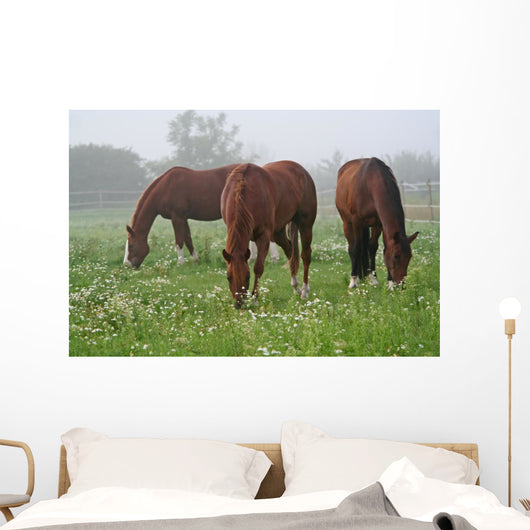 Nebel Wiese Wall Decal