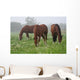 Nebel Wiese Wall Decal