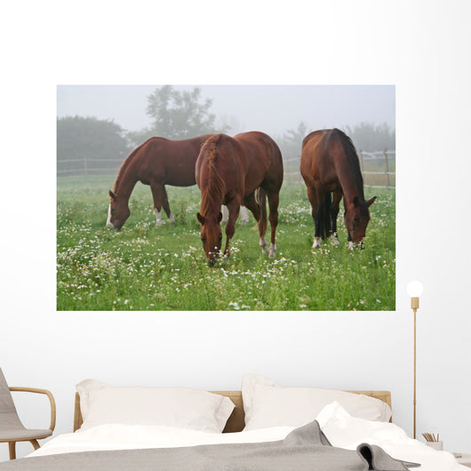 Nebel Wiese Wall Decal
