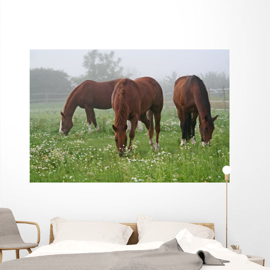 Nebel Wiese Wall Decal
