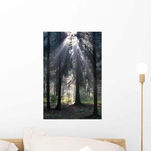 Sun Rays Wall Decal