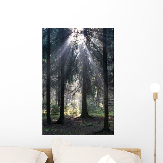 Sun Rays Wall Decal