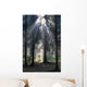 Sun Rays Wall Decal