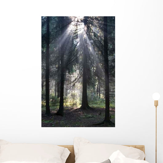 Sun Rays Wall Decal