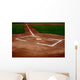 Baseball Field Wall Decal