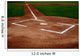Baseball Field Wall Decal