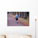 Nordic Walking Wall Decal