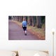 Nordic Walking Wall Decal