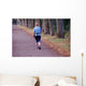 Nordic Walking Wall Decal