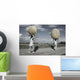 Carriers Pebble Wall Decal