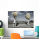 Carriers Pebble Wall Decal