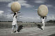 Carriers Pebble Wall Decal