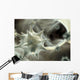 Virus Wall Decal