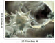 Virus Wall Decal