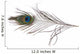 Peacock Feather Wall Decal