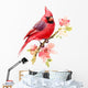 Cardinal Red Bird Wall Decal