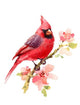 Cardinal Red Bird Wall Decal