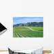 California Vineyard Wall Decal