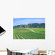 California Vineyard Wall Decal