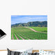 California Vineyard Wall Decal