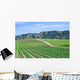California Vineyard Wall Decal