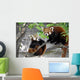 Two Red Pandas Wall Decal