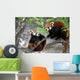 Two Red Pandas Wall Decal