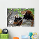 Two Red Pandas Wall Decal