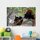Two Red Pandas Wall Decal