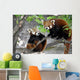 Two Red Pandas Wall Decal