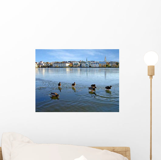 Ducks Ice Reykjavik Wall Decal