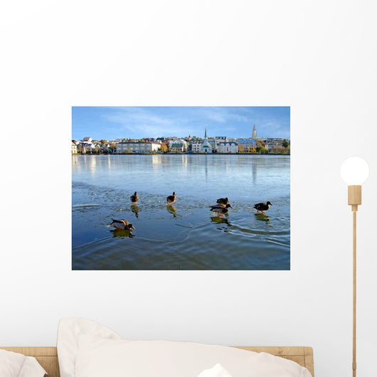 Ducks Ice Reykjavik Wall Decal