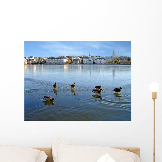 Ducks Ice Reykjavik Wall Decal