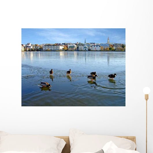 Ducks Ice Reykjavik Wall Decal