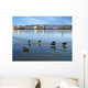 Ducks Ice Reykjavik Wall Decal