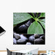 Collage Wall Decal